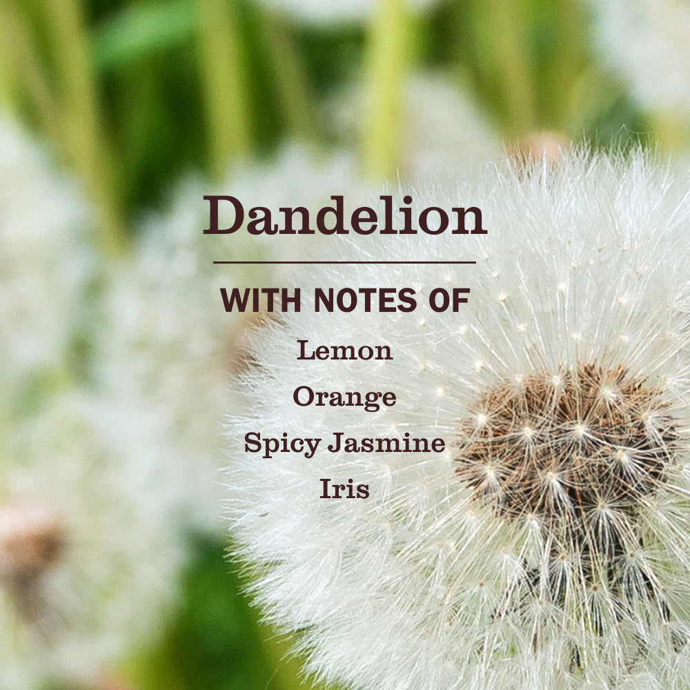 Dandelion Room Freshener - Image 4