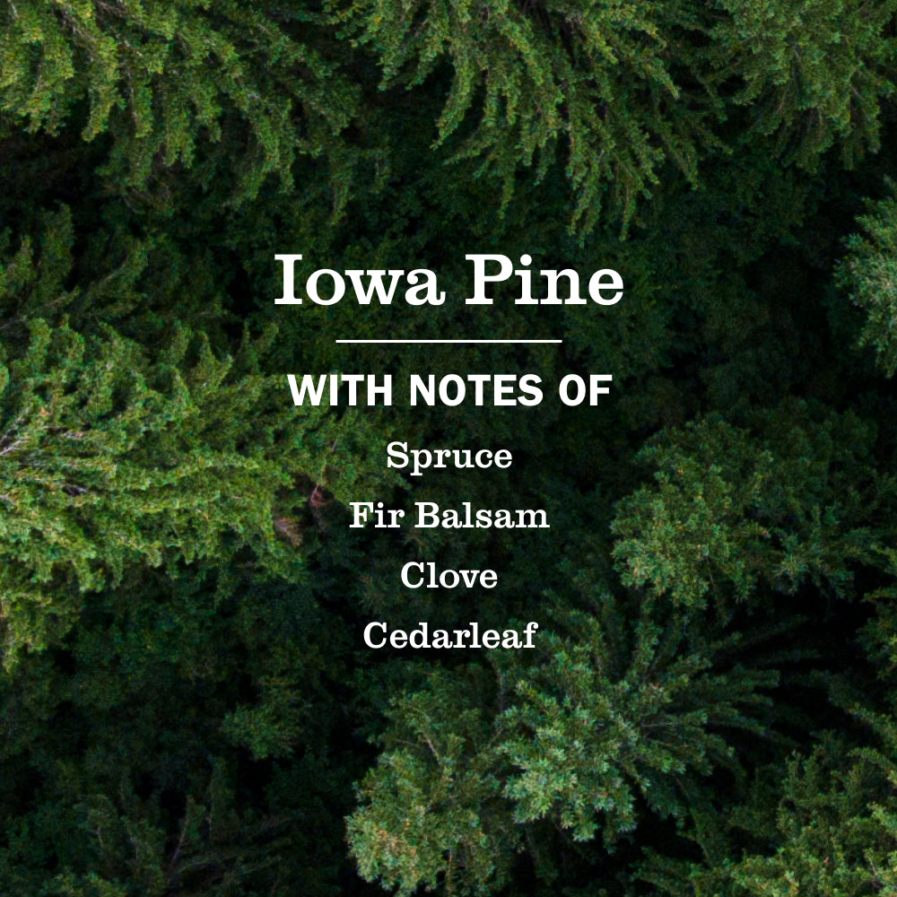 Iowa Pine Multi-Surface Everyday Cleaner - Image 4
