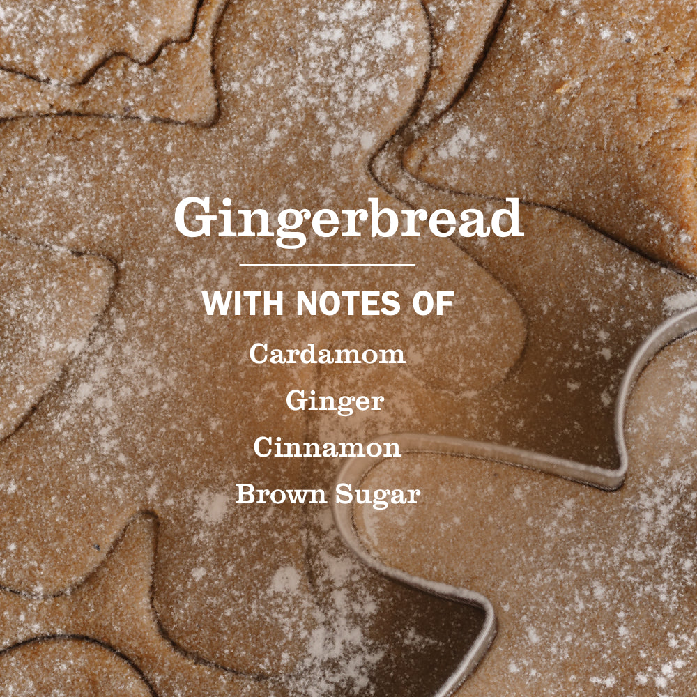Gingerbread Multi-Surface Everyday Cleaner 3-count Bundle - Image 4