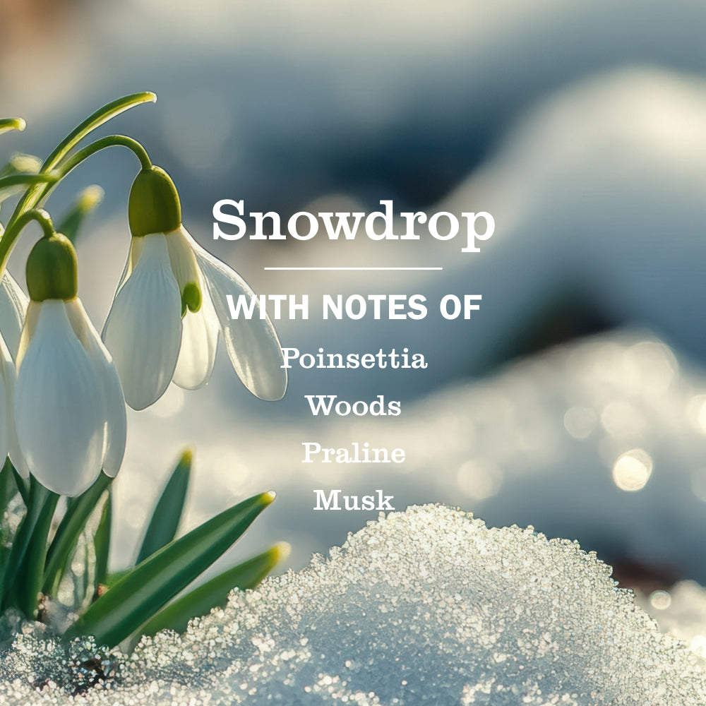 Snowdrop Hand Care Plus 5-Count Bundle - Image 2